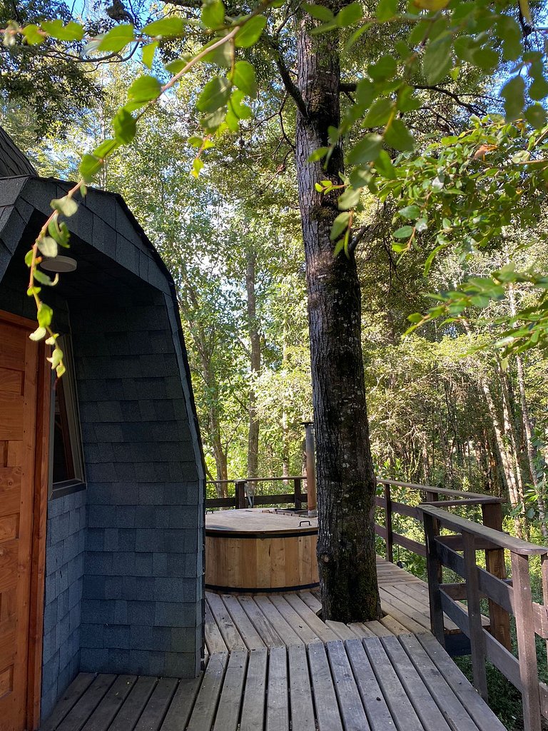 Hermoso domo en altura entre el bosque nativo + tinaja priva